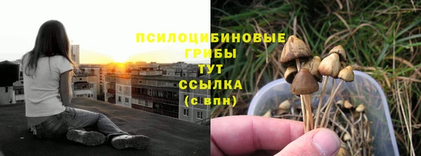 ПСИЛОЦИБИНОВЫЕ ГРИБЫ Баксан