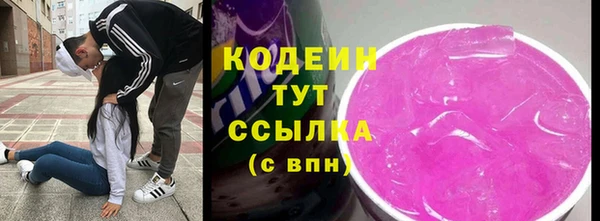 индика Новокубанск