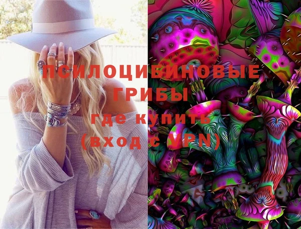 ПСИЛОЦИБИНОВЫЕ ГРИБЫ Баксан