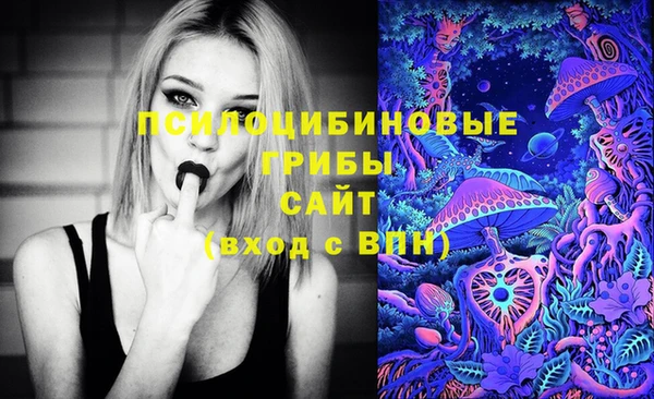 дживик Балабаново