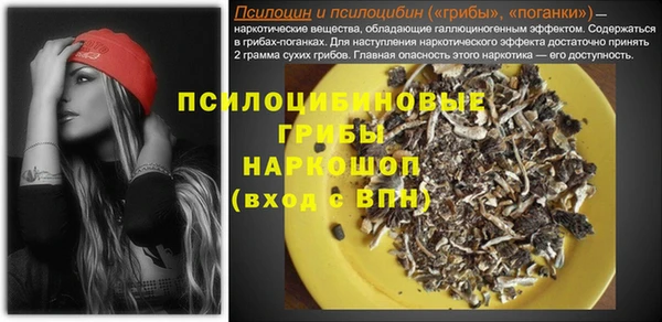 ПСИЛОЦИБИНОВЫЕ ГРИБЫ Баксан