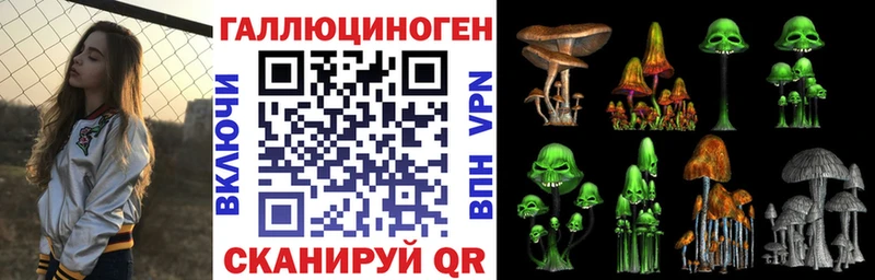 купить наркотики сайты  Беломорск  Галлюциногенные грибы GOLDEN TEACHER 